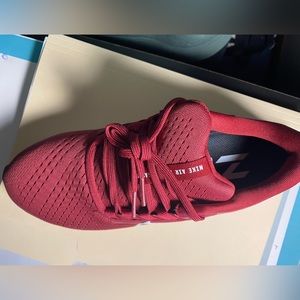 Brand new Nike Pegasus, in box